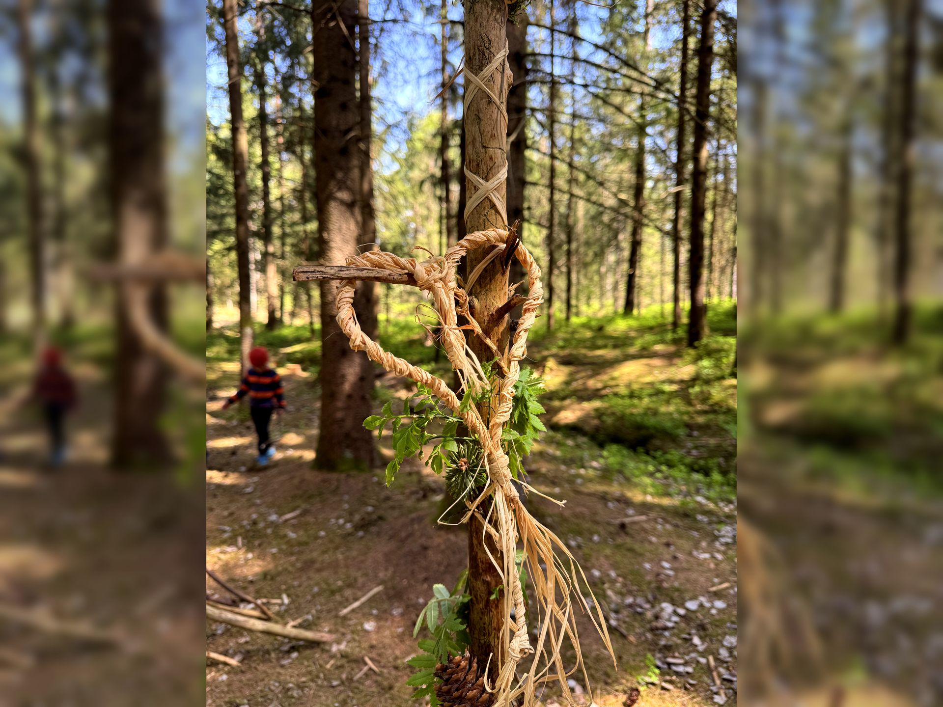 Kraeuterwanderung
